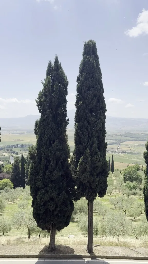 Zhenyu Lu_Idyllium_Pienza_avis