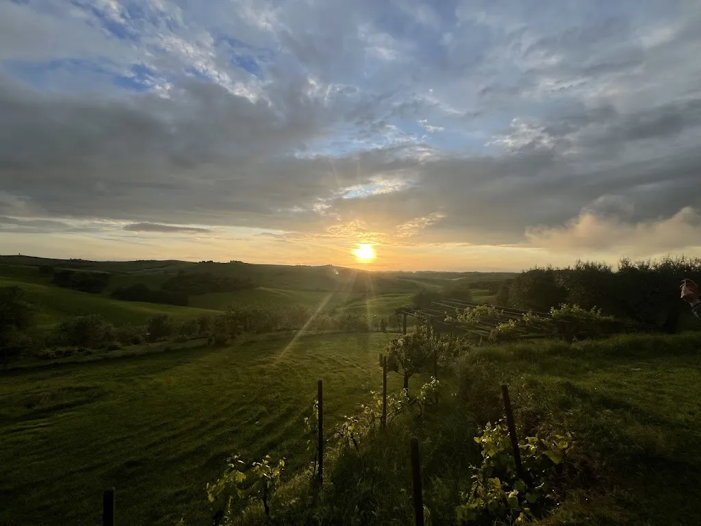 Matthew Hogbin_Ristorante La Pecora Bianca al Podere Spedalone_Pienza_review