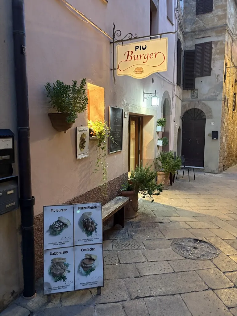 Anubhav Yadav_Pio Burger_Pienza_review
