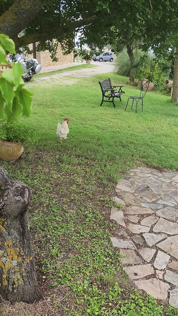 Agriturismo Poderuccio_Pienza_slider_image_2