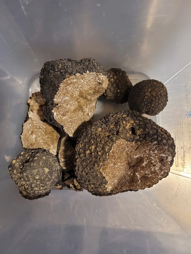 Menu_Pienza á pizza_Pienza_image_4