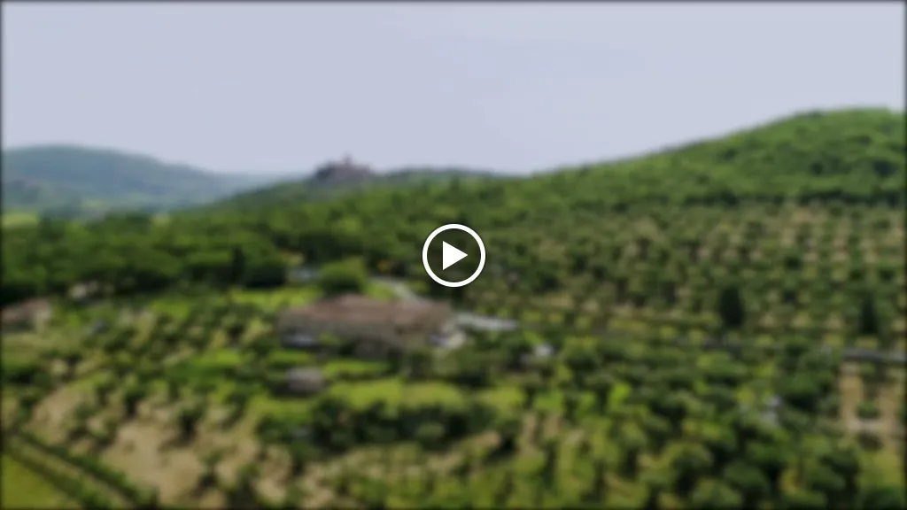 Agriturismo Podere Spedalone_Pienza_slider_image_2