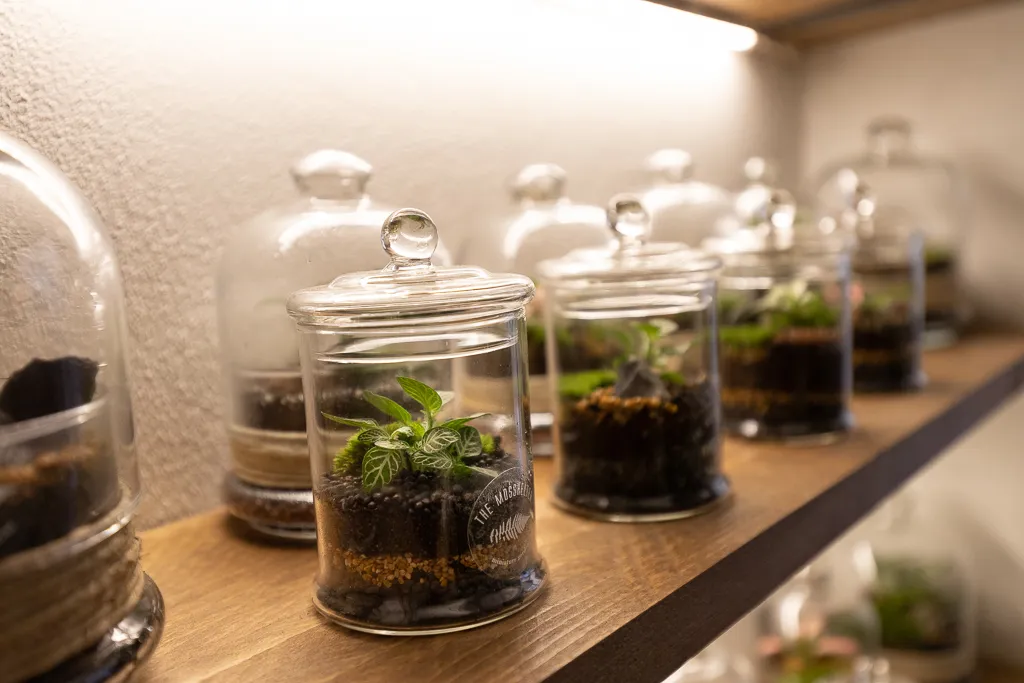 Menu_Olivia Bistrot_Poggibonsi_image_8