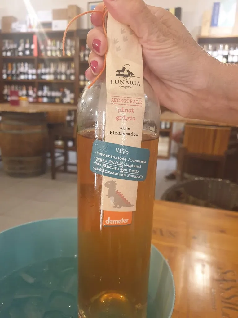 Menu_Innocenti Wines - Ristorante enoteca Poggibonsi_Poggibonsi_image_8