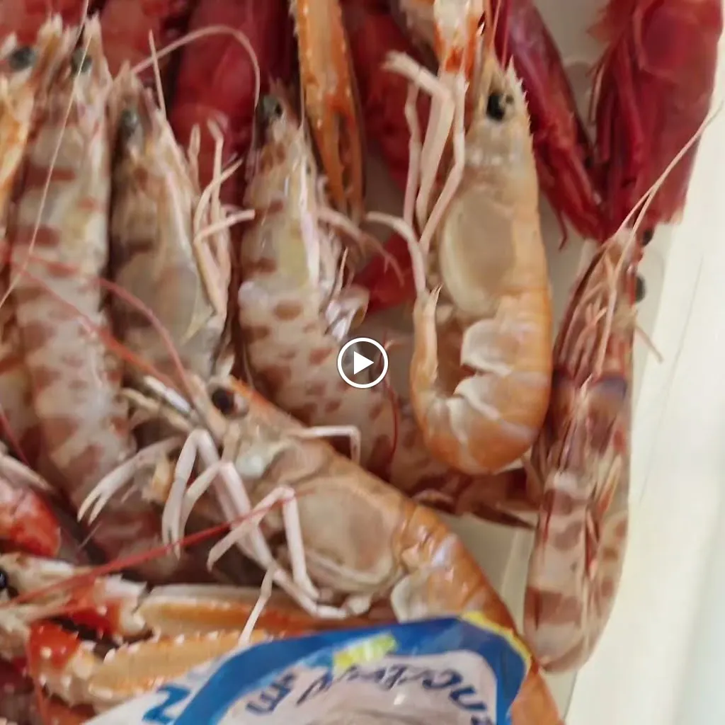 Ristorante Frank_Ponsacco_slider_image_2