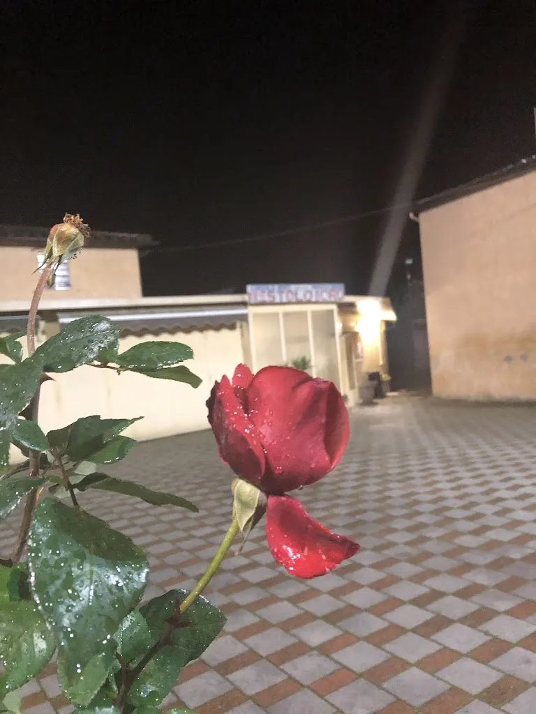 Emiliano Nannucci_Circle M.C.L. THE GOLDEN LADLE_Poggio A Caiano_review