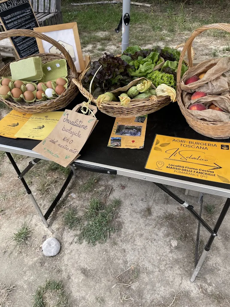 - Il Selvatico - Agri Food Truck_Pomarance_slider_image_3