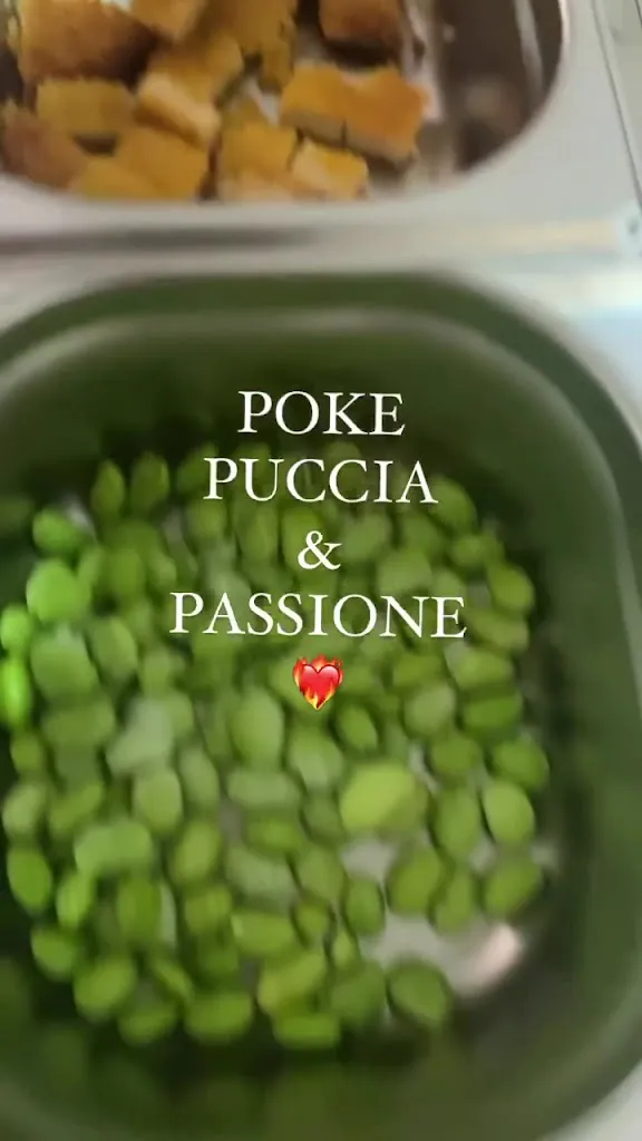 Poke Puccia e Passione_Montemesola_slider_image_2