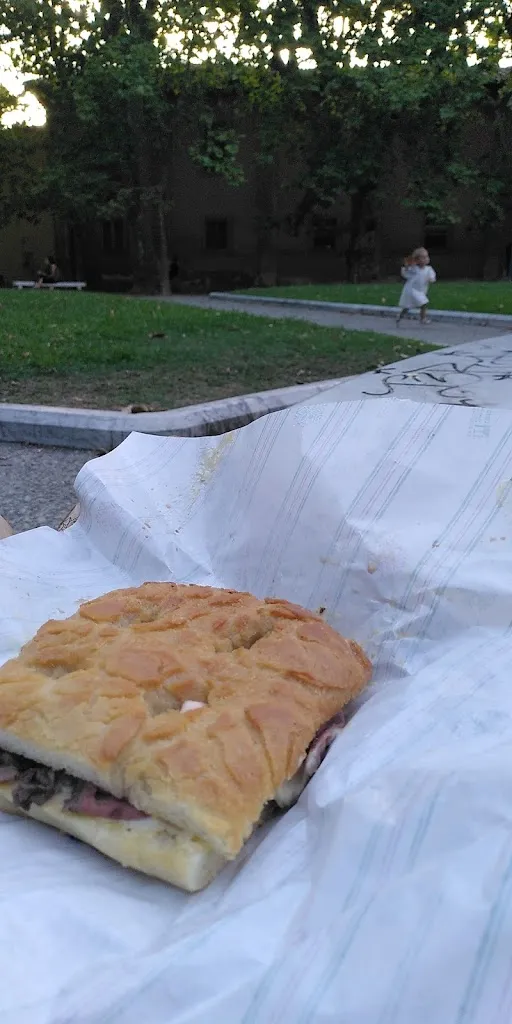 Elmar David assets fool_Panimo_Province of Pisa_review