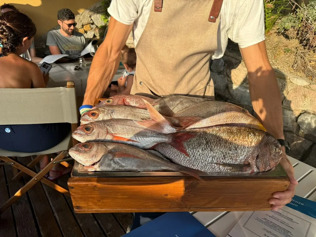 Frederik Wollants_Osteria di Mare Enfola_Portoferraio_review