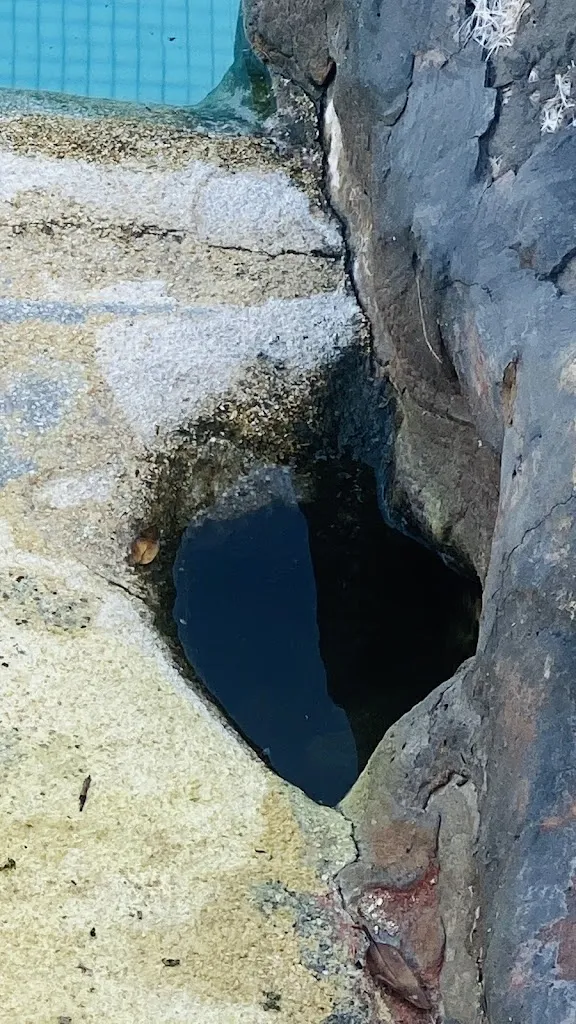 Amanda Marcucci_Hotel Ristorante Villa Margherita_Quercianella_review