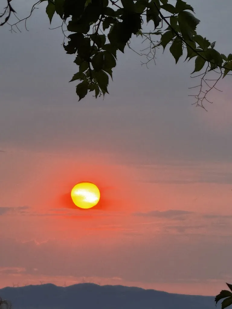 Andrew Dunning_La Pergola Di Radicondoli_Radicondoli_review