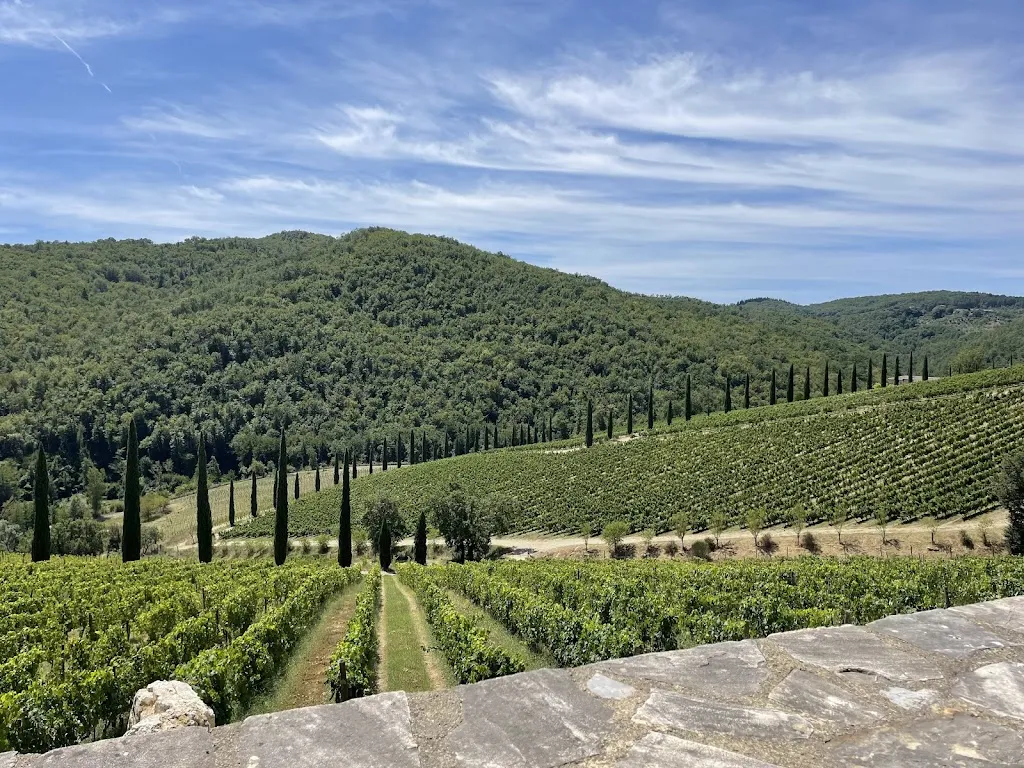 Patisher_Osteria Brancaia_Radda in Chianti_recensione