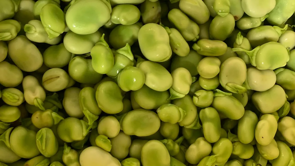 La Bottega a Rosano_Rignano sull'Arno_slider_image_3