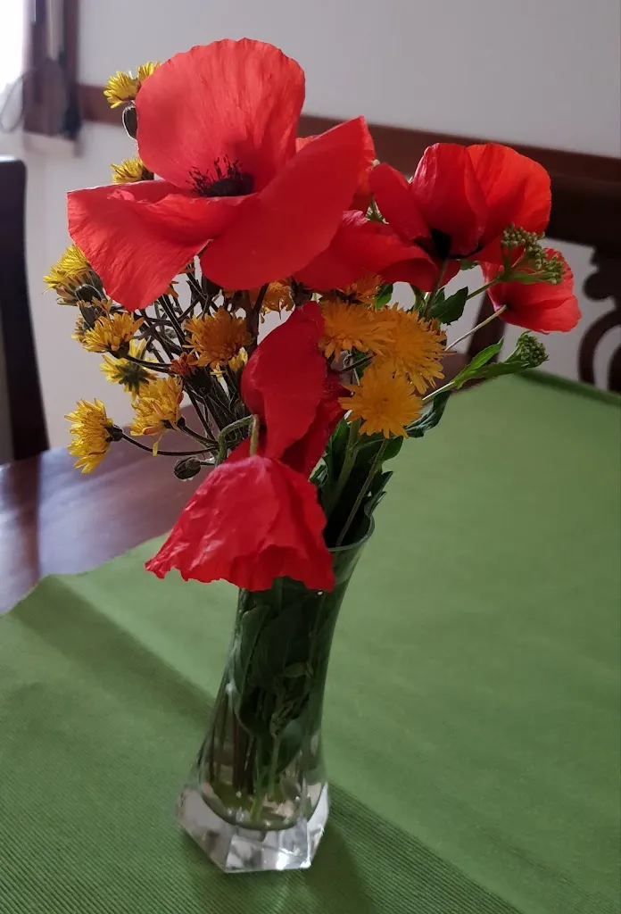 Marta Bolognesi_Ploom Reseller - Lady's Café_Rignano sull'Arno_recensione