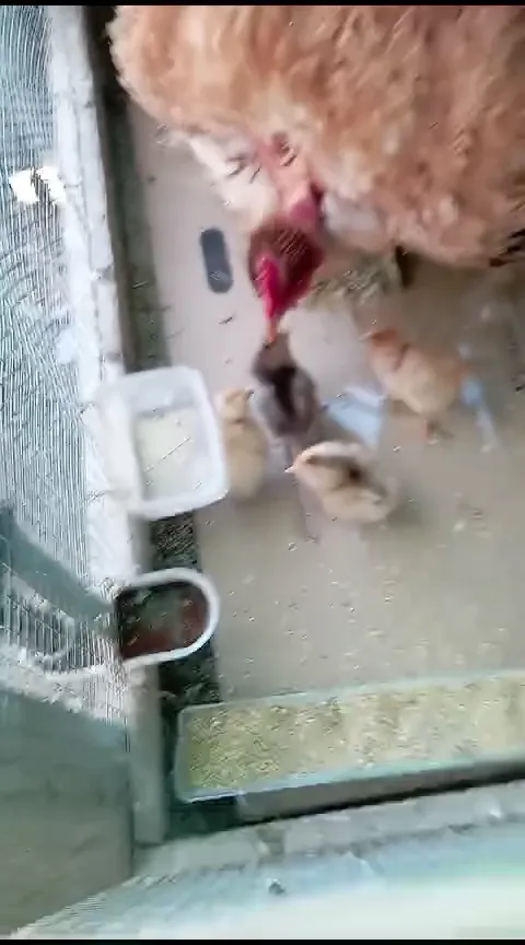 Ristorante Palagio59_Rignano sull'Arno_slider_image_2