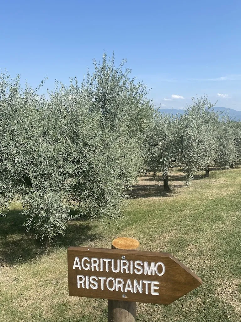 Brittany DiGesare _La Casa di Rodo - Agriturismo_Quarrata_recensione