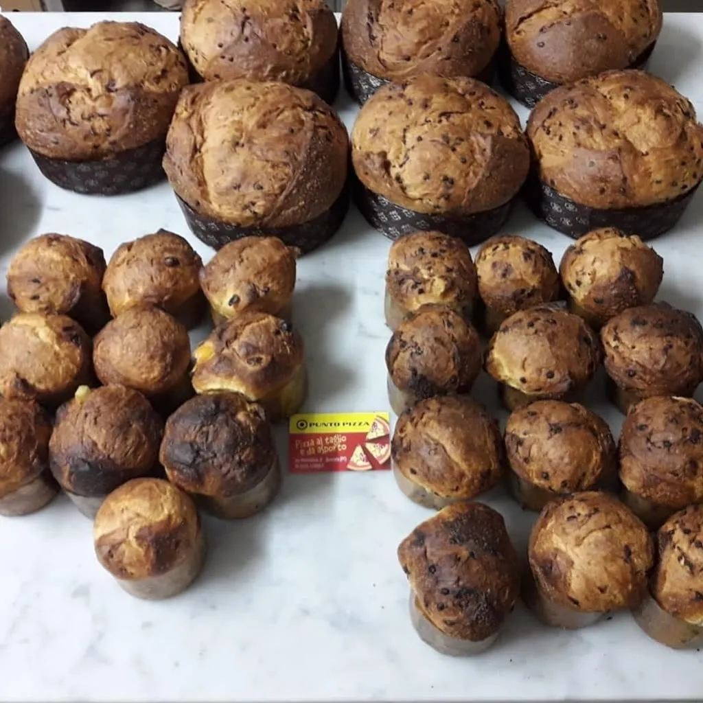 Menu_Punto Pizza quarrata_Quarrata_image_6