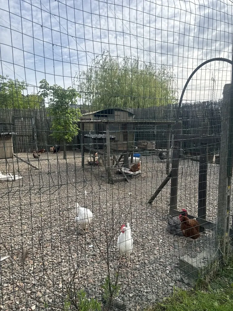 Alessio Mengoni_Lago L’incanto_Quarrata_review