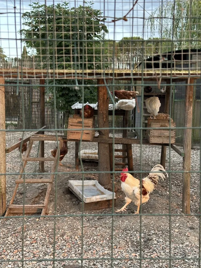 Lago L’incanto_Quarrata_slider_image_3