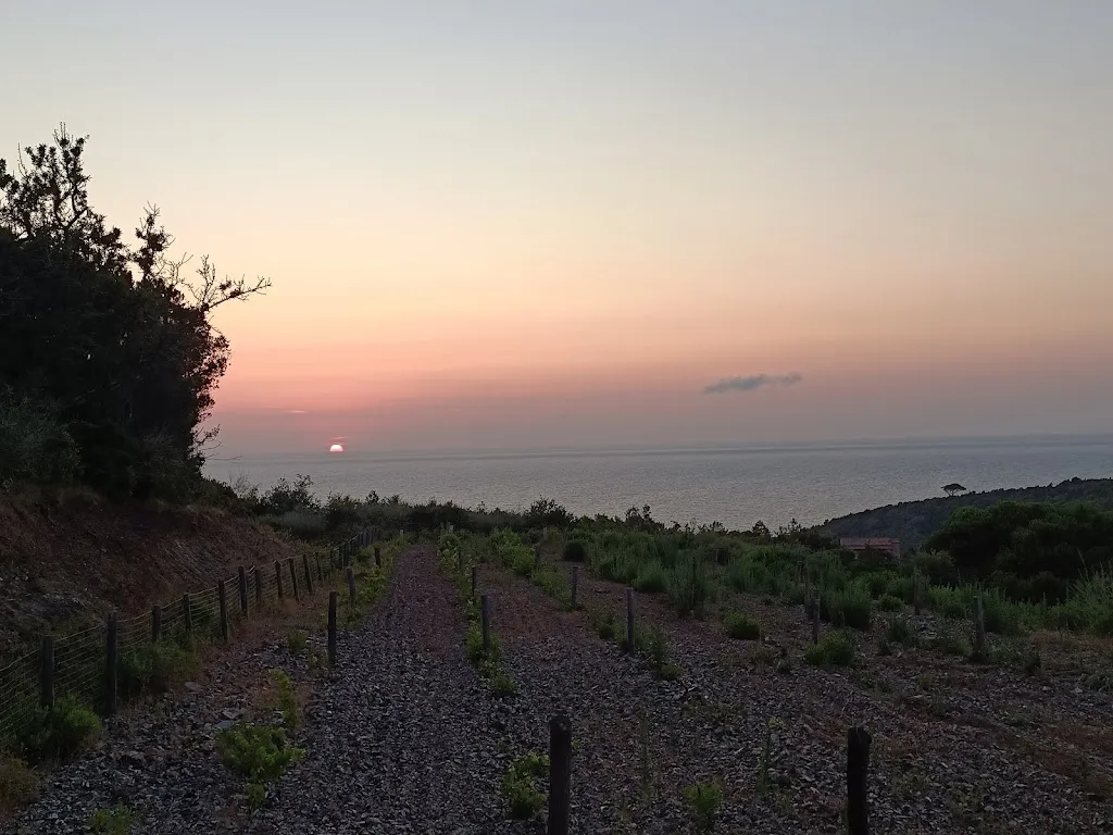 Peter Wood_Ristoro dell'Amandolo_Rio nell'Elba_review