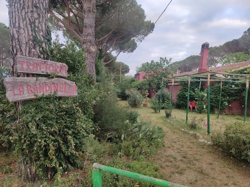 Anna Emese Csákvári_Ristorante La Bandinella_Roccastrada_review