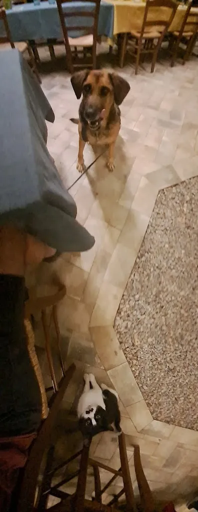 Luca Marangi_Ristorante Rosmarino_Roccastrada_recensione