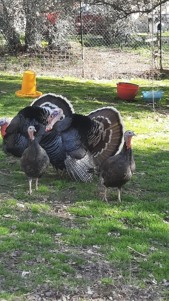 Tenuta delle Antiche Querce_Roccastrada_slider_image_3