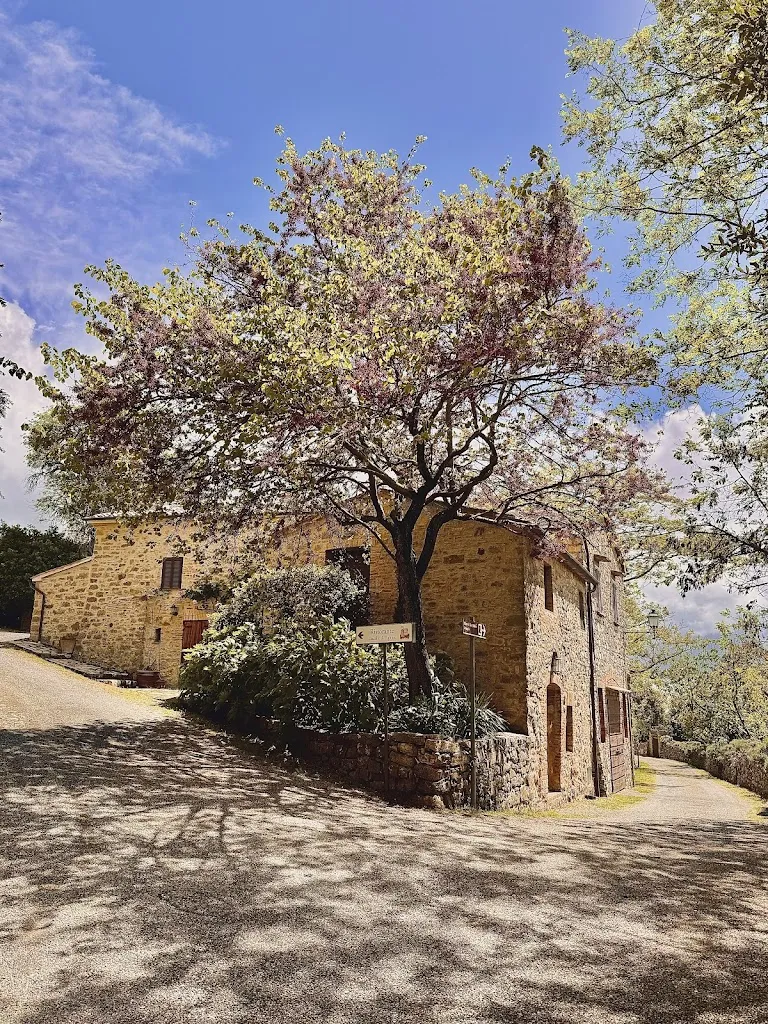 Lara Bardina_Ristorante Castello di Fighine_San Casciano dei Bagni_review