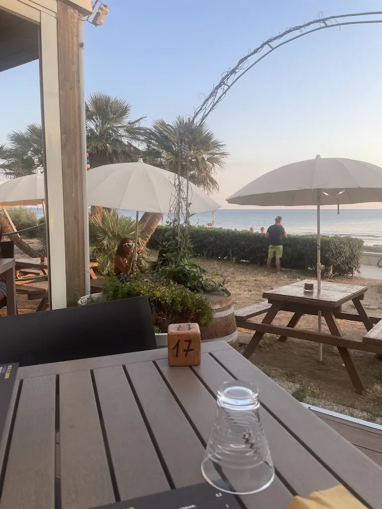 Marjolein van Dijk_THE CIRINGHITO ROSIGNANO_Rosignano Marittimo_review