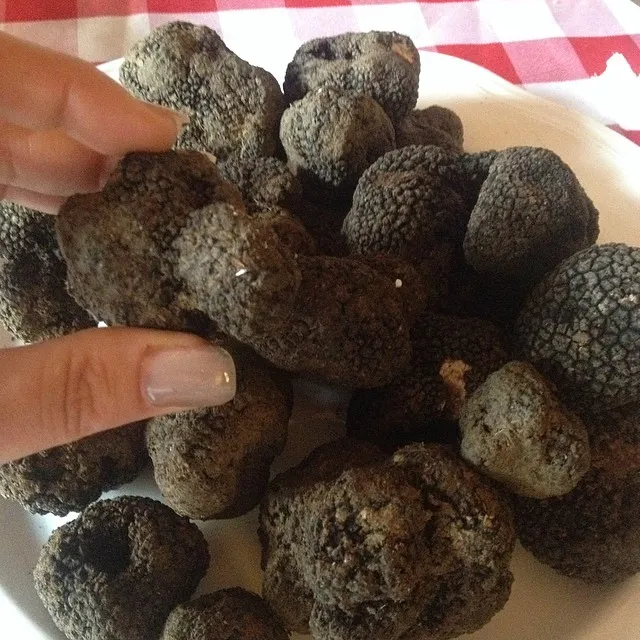 Menu_Osteria Il Sigillo: Locanda e B&B_Rosignano Marittimo_image_6