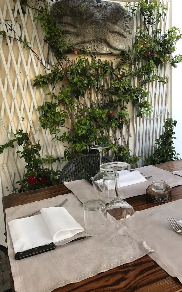 Volpe_Rosignano Marittimo_slider_image_1