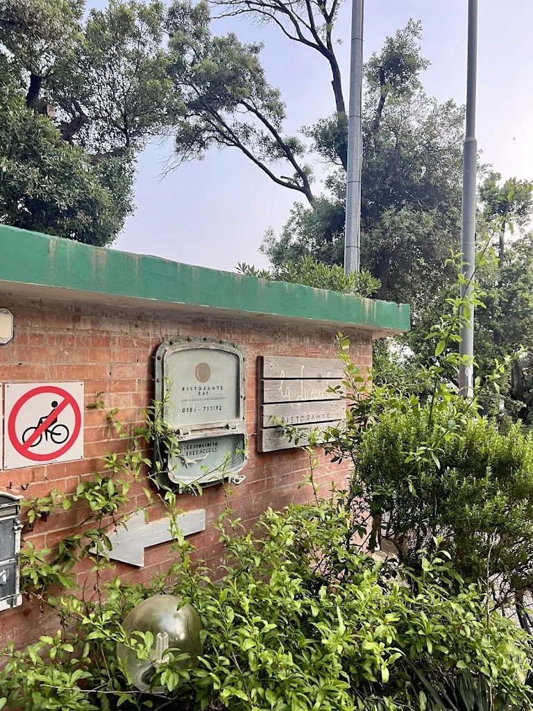 Pasha Hashemi_La Lucciola_Rosignano Marittimo_recensione