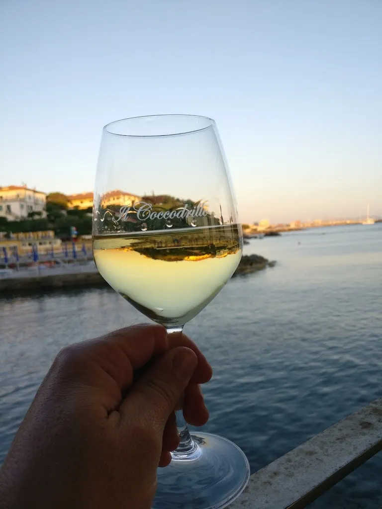 Menu_Ristorante Il Coccodrillo_Rosignano Marittimo_image_9