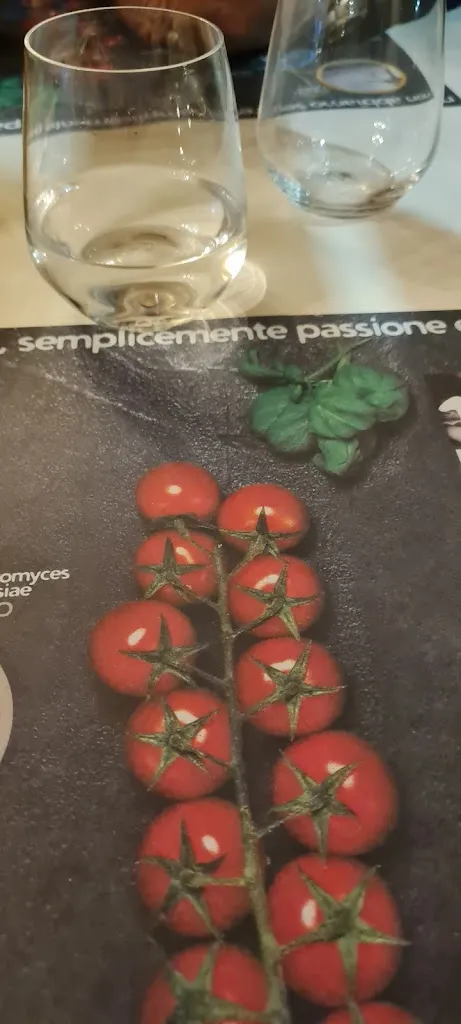 Menu_Bar Centro Pomodoro e Basilico di FL. EV. & C. Snc_Rosignano Marittimo_image_7