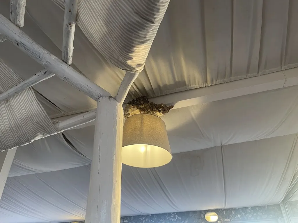 Andreea-Clara Munteanu_Lo Scoglietto_Rosignano Marittimo_recensione