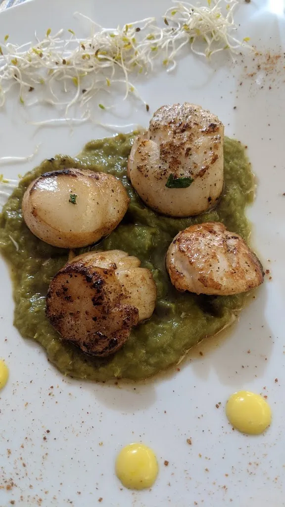 Joan Brown_Osteria Patolo_Rosignano Solvay-Castiglioncello_review