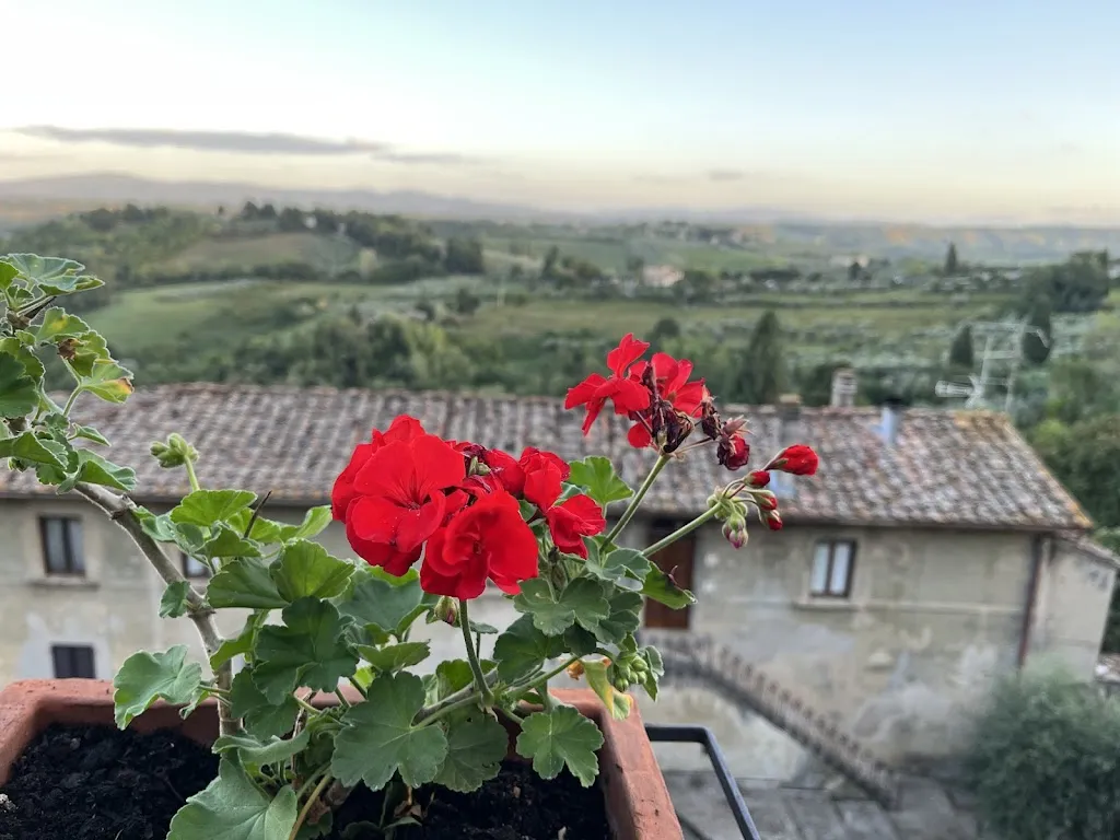 Tony Mahagony_Le Vecchie Mura_San Gimignano_review