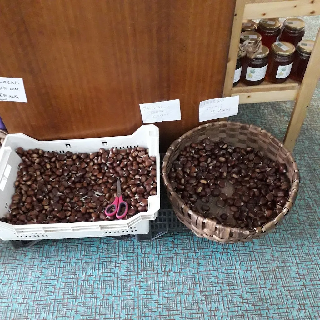 Menu_Bar Cavallino_San Godenzo_image_3