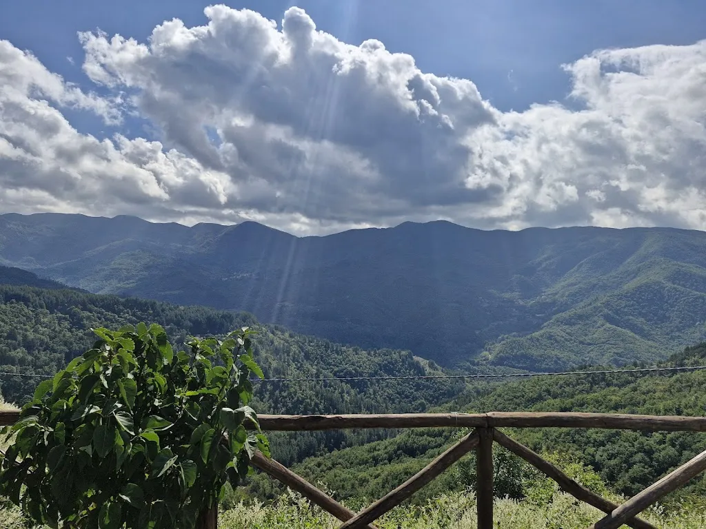 Diana Aspiras de Block_Bar Cavallino_San Godenzo_review