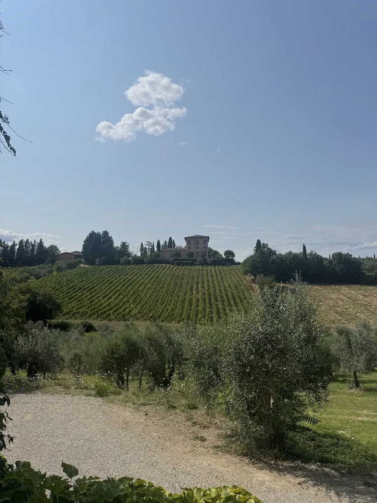 Jaleh Moyse_Il Borgo Machiavelli_San Casciano in Val di Pesa_review