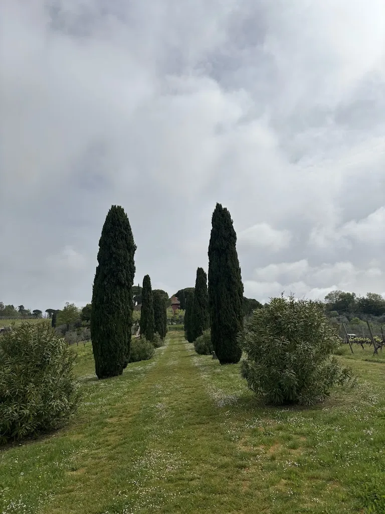 Alysaa Co_Salvadonica - Borgo del Chianti_San Casciano in Val di Pesa_review