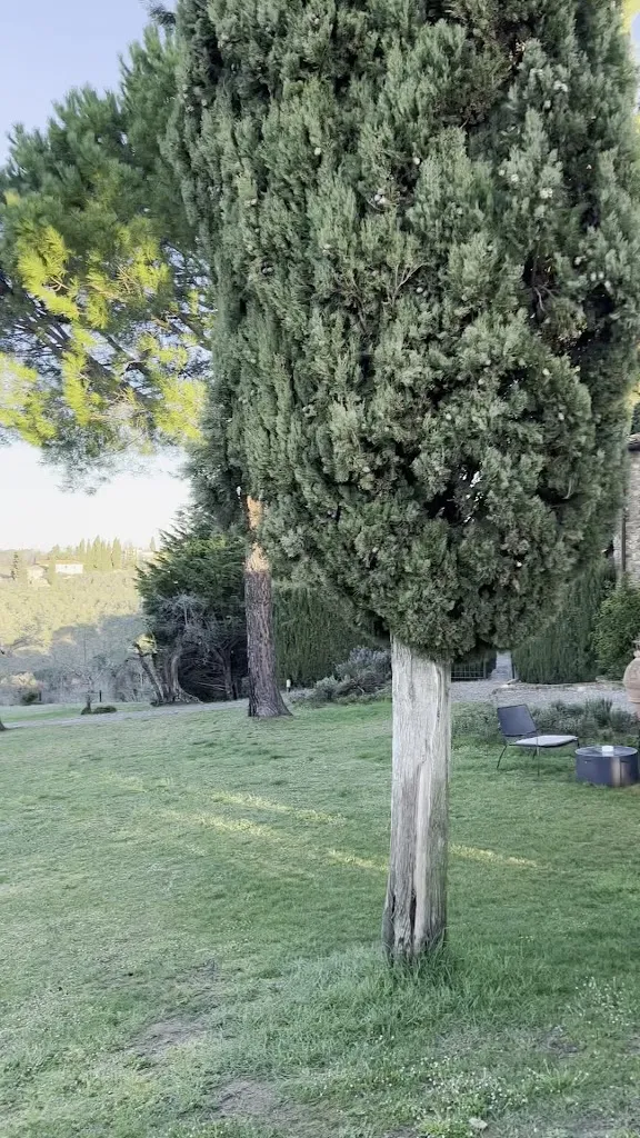 Salvadonica - Borgo del Chianti_San Casciano in Val di Pesa_slider_image_2