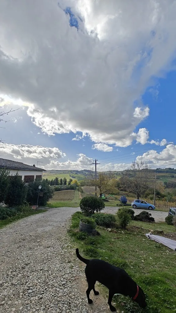 Tony Dean_Bio-Agriturismo La Ginestra_San Casciano in Val di Pesa_review