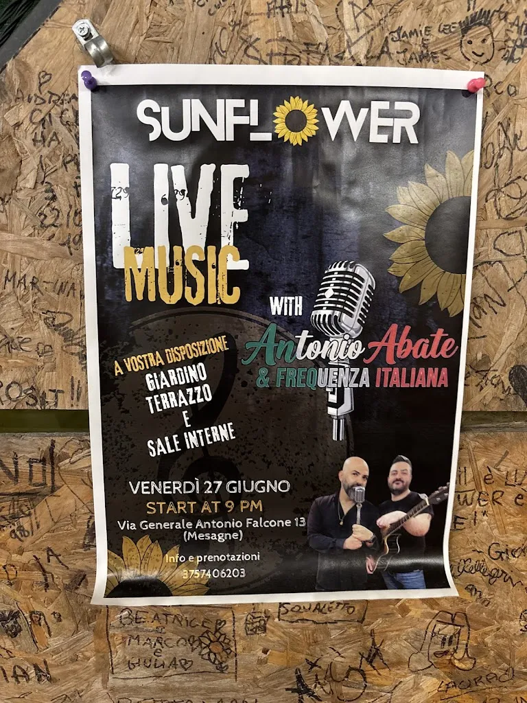 Marika Vammacigno_Sunflower_Mesagne_review