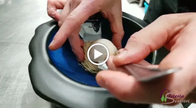 Osteria Sentieri_San Miniato Basso_slider_image_2