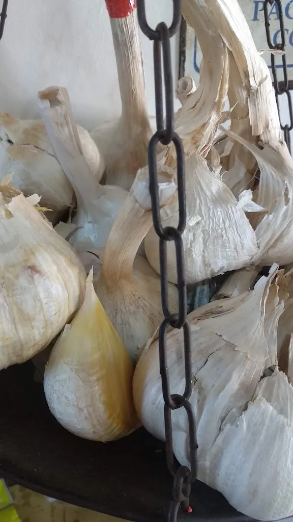 Menu_Osteria all'Aglione_San Piero a Sieve_image_7