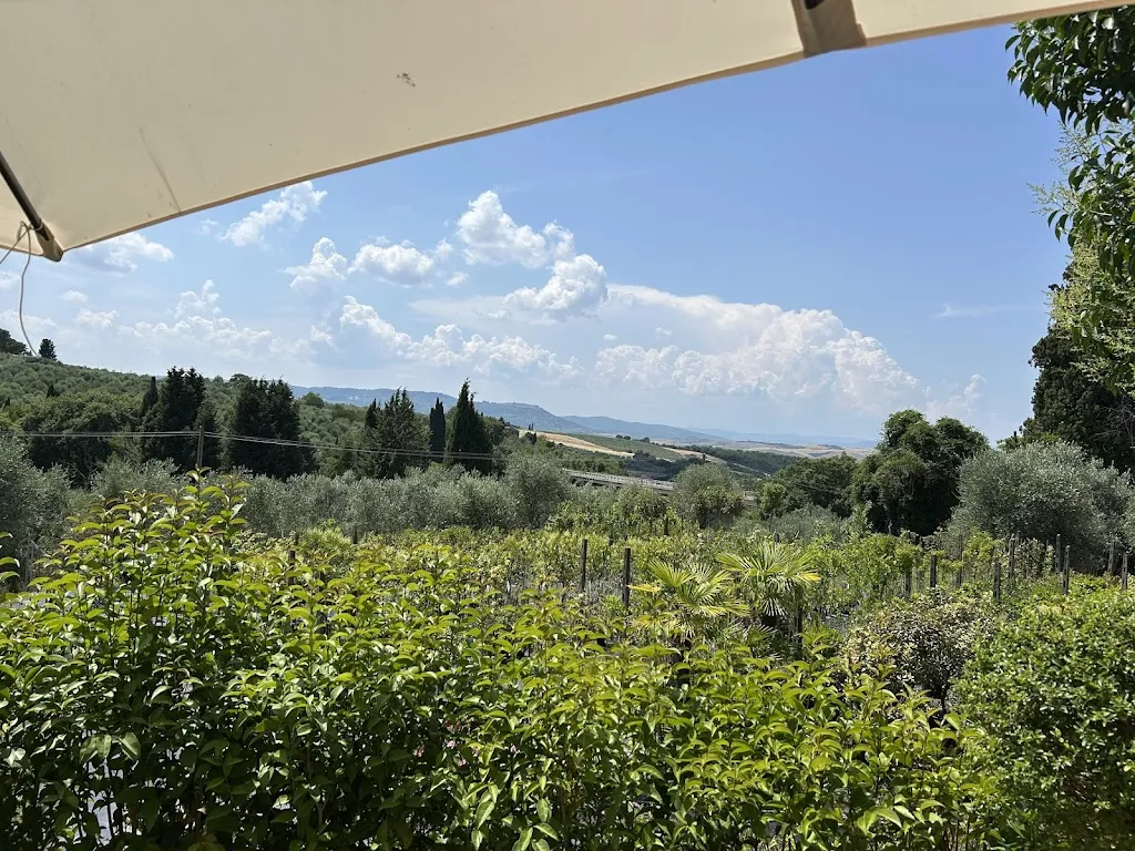 Stephane G._Cavoli a merenda_San Quirico d'Orcia_recensione