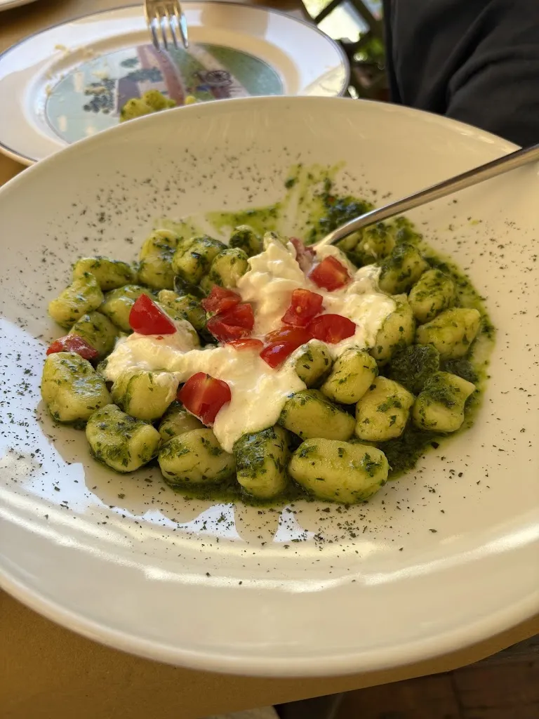 Emily Howard_Rifrullo_Scansano_review