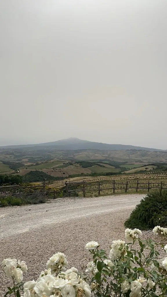 Dank Sakura_Ristorante Extravergine_Sarteano_review